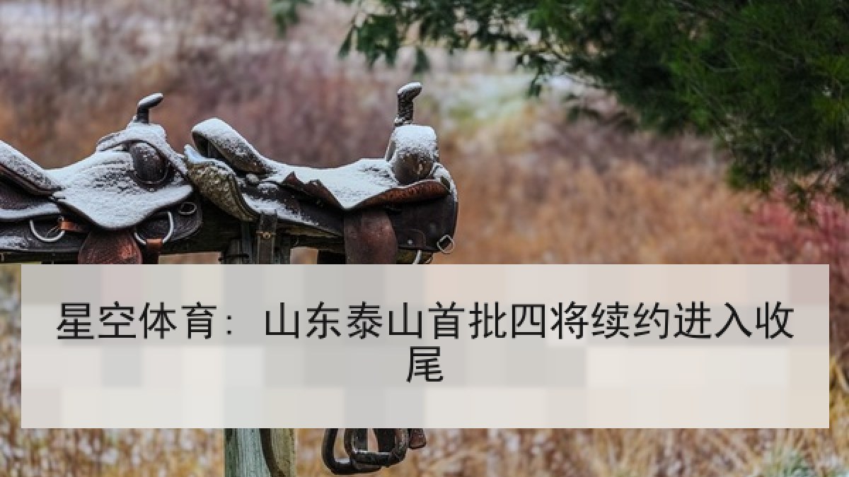 星空体育: 山东泰山首批四将续约进入收尾 星空体育: 山东泰山首批四将续约进入收尾