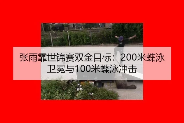 zhang-yu-fei-shi-jin-sai-shuang-jin-mu-biao-mi-die-yong-wei-mian-yu-mi-die-yong-chong-ji-3-993.jpg