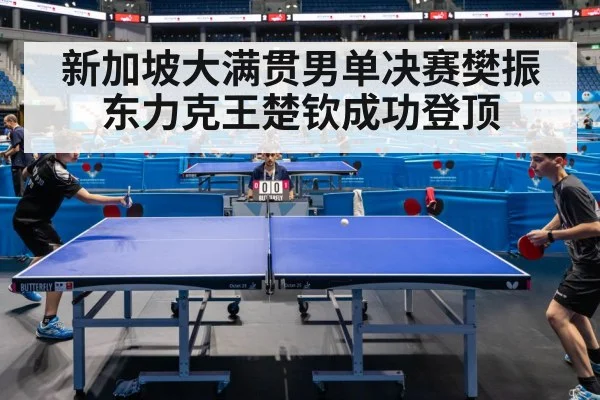 新加坡大满贯男单决赛樊振东力克王楚钦成功登顶