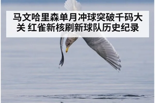 马文哈里森单月冲球突破千码大关 红雀新核刷新球队历史纪录